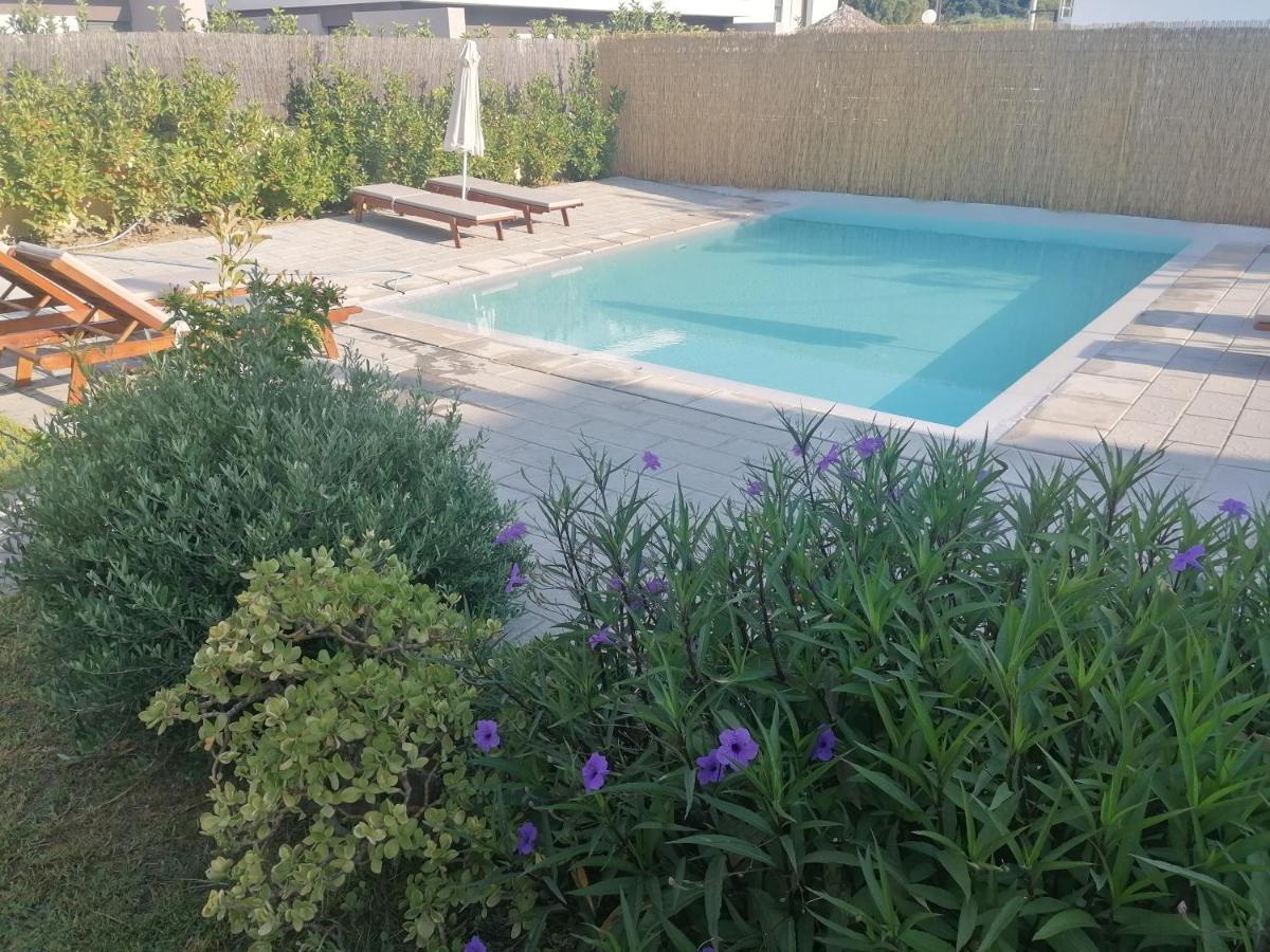 Endless Summer Pool Flat イキソス エクステリア 写真
